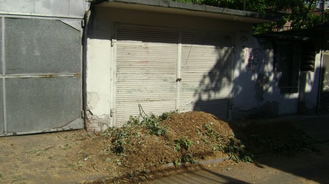 DSC05817-1