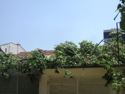 DSC05812-1