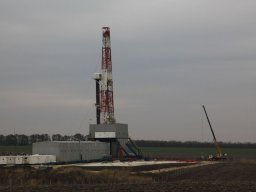 rogozina