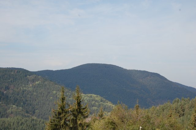 DSC_9146