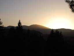 DSC_2316