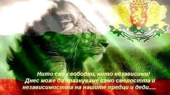 Нито свободни нито независими