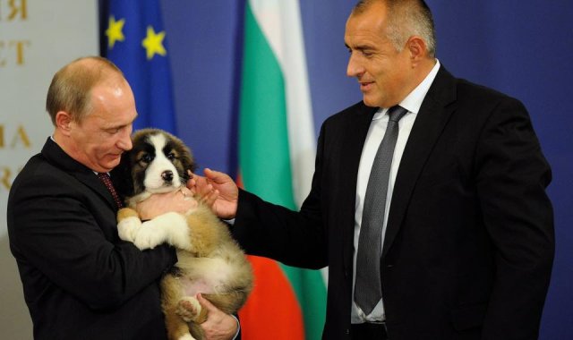 Бойко и Путин с кученцето