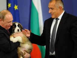 Бойко и Путин с кученцето