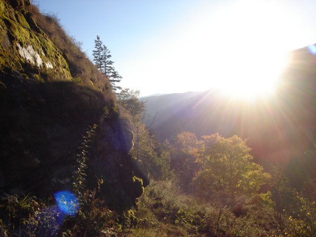 DSC04905