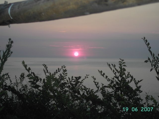 PICT2745