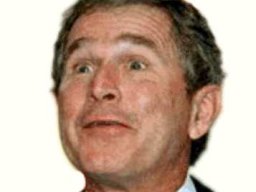 bush_nostradamus