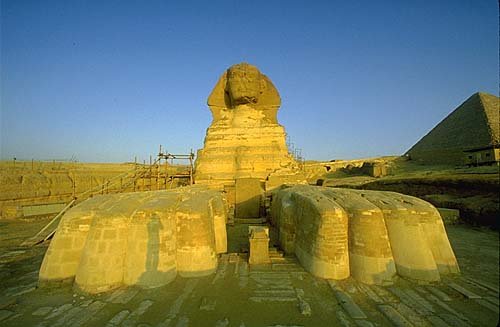 sphynx