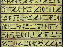 STELE2