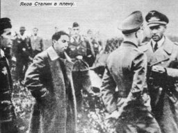 Яков Сталин в плен