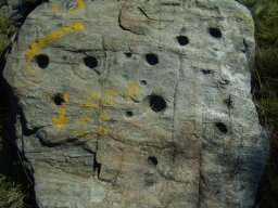 Pleiadi3