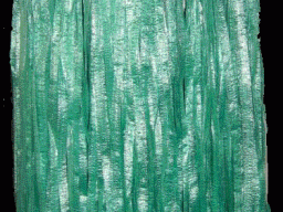 Tahitiangreen