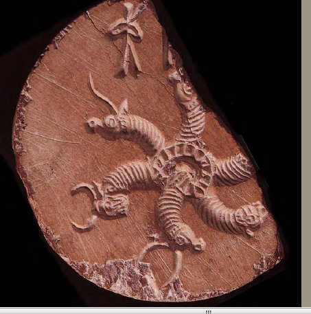 HarrapaSeals8