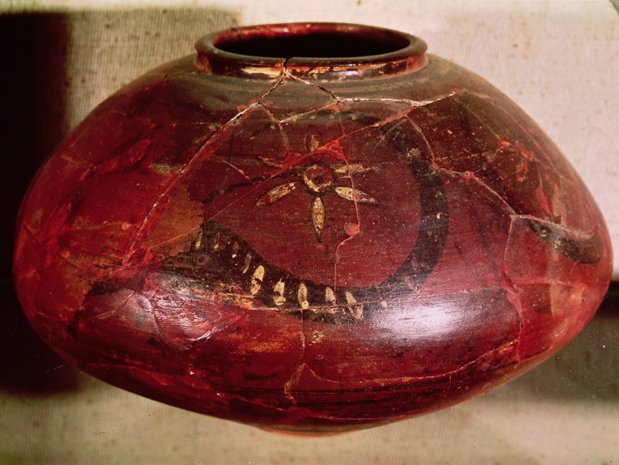 i_pot_snake