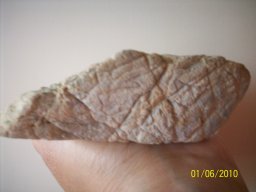 110_1559
