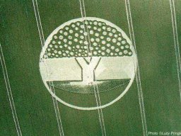 crop circle_31