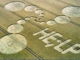 crop circle_6