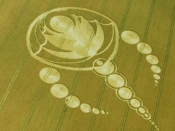 crop circle_60