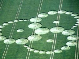 crop circle_90